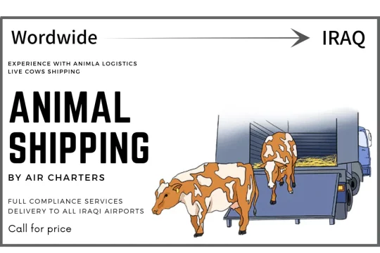 Shipping life animals to Iraq